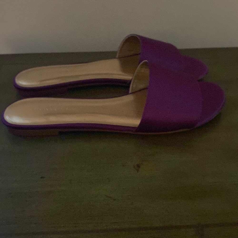 Banana Republic purple flat slides.